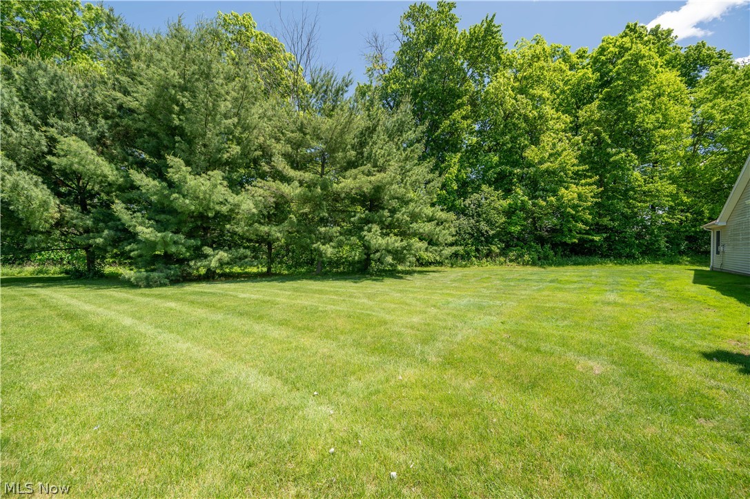Lilac Lane - Residential