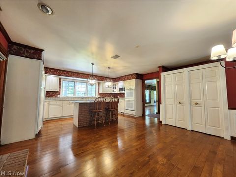 Tiny photo for 1013 Brandt Road, Geneva, OH 44041 (MLS # 5207558)