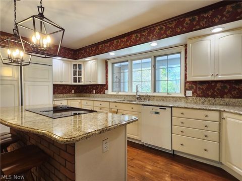 Tiny photo for 1013 Brandt Road, Geneva, OH 44041 (MLS # 5207558)