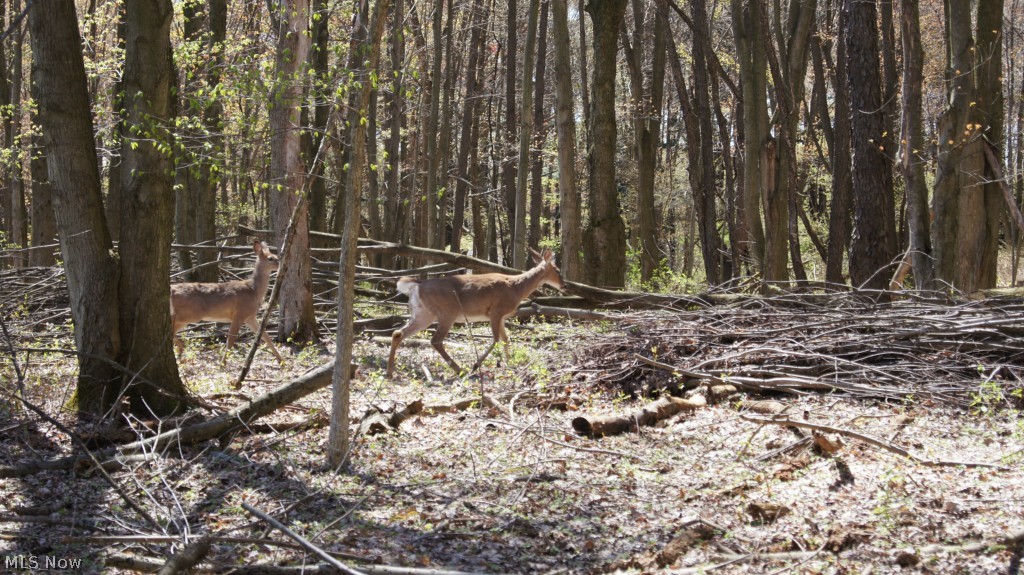 Zelray Park #2 - Residential