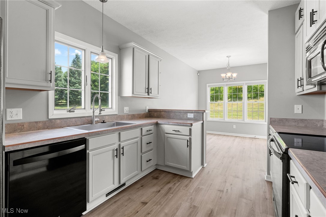 Forest Trail Allotment - Residential