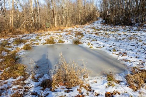 Tiny photo for County Road 9, New Matamoras, OH 45767 (MLS # 5180254)