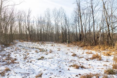 Tiny photo for County Road 9, New Matamoras, OH 45767 (MLS # 5180254)
