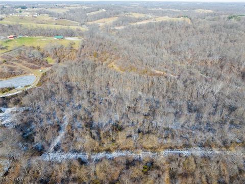 Tiny photo for County Road 9, New Matamoras, OH 45767 (MLS # 5180254)