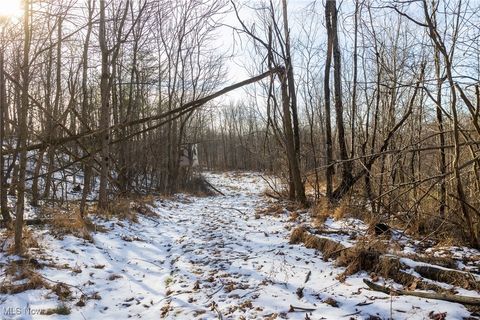 Tiny photo for County Road 9, New Matamoras, OH 45767 (MLS # 5180254)