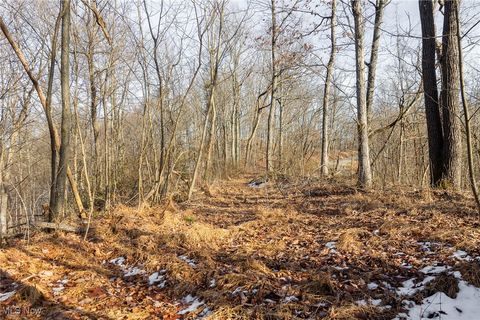 Tiny photo for County Road 9, New Matamoras, OH 45767 (MLS # 5180254)