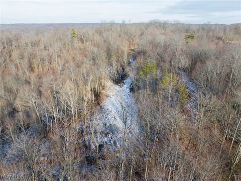 Tiny photo for County Road 9, New Matamoras, OH 45767 (MLS # 5180254)