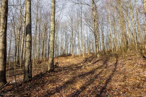 Tiny photo for County Road 9, New Matamoras, OH 45767 (MLS # 5180254)