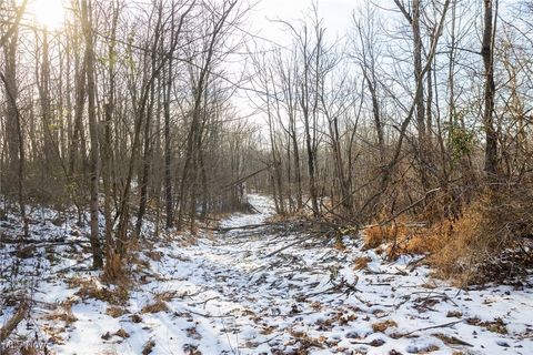 Tiny photo for County Road 9, New Matamoras, OH 45767 (MLS # 5180254)