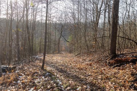 Tiny photo for County Road 9, New Matamoras, OH 45767 (MLS # 5180254)