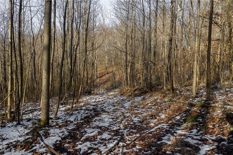 Tiny photo for County Road 9, New Matamoras, OH 45767 (MLS # 5180254)