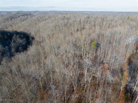 Tiny photo for County Road 9, New Matamoras, OH 45767 (MLS # 5180254)