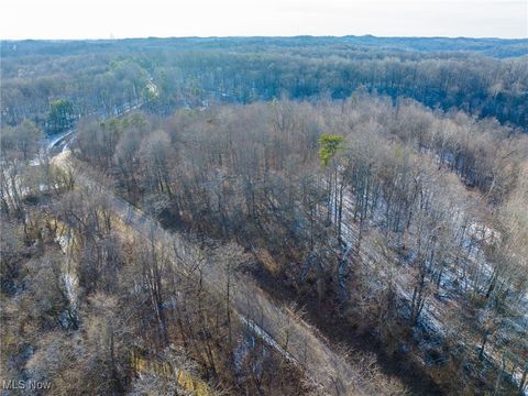Tiny photo for County Road 9, New Matamoras, OH 45767 (MLS # 5180254)