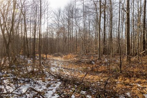 Tiny photo for County Road 9, New Matamoras, OH 45767 (MLS # 5180254)