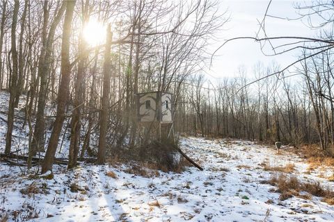 Tiny photo for County Road 9, New Matamoras, OH 45767 (MLS # 5180254)