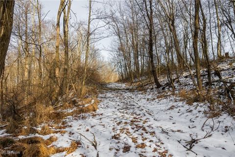 Tiny photo for County Road 9, New Matamoras, OH 45767 (MLS # 5180254)