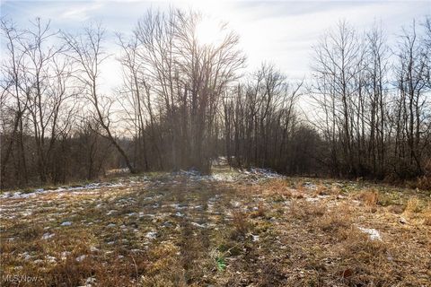 Tiny photo for County Road 9, New Matamoras, OH 45767 (MLS # 5180254)