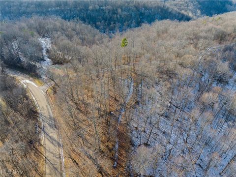 Tiny photo for County Road 9, New Matamoras, OH 45767 (MLS # 5180254)