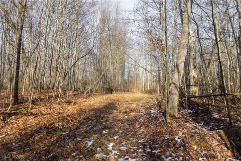 Tiny photo for County Road 9, New Matamoras, OH 45767 (MLS # 5180254)