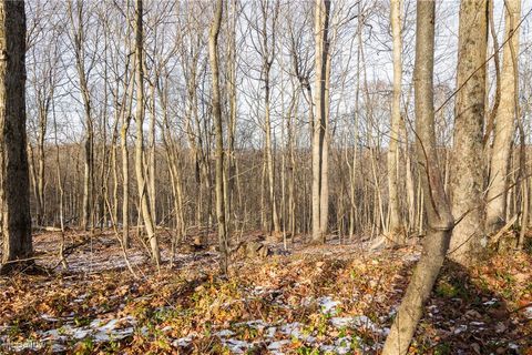 Tiny photo for County Road 9, New Matamoras, OH 45767 (MLS # 5180254)