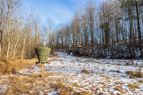 Tiny photo for County Road 9, New Matamoras, OH 45767 (MLS # 5180254)