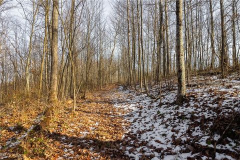 Tiny photo for County Road 9, New Matamoras, OH 45767 (MLS # 5180254)