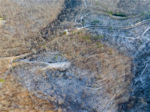 Tiny photo for County Road 9, New Matamoras, OH 45767 (MLS # 5180254)