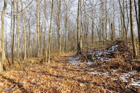 Tiny photo for County Road 9, New Matamoras, OH 45767 (MLS # 5180254)