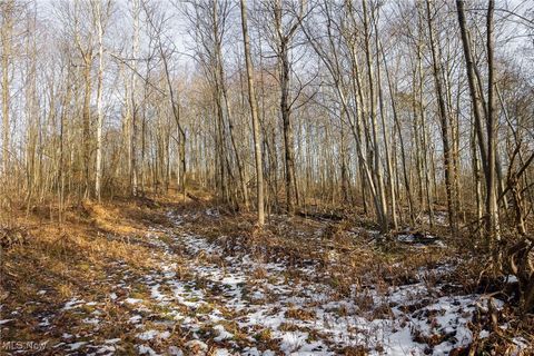 Tiny photo for County Road 9, New Matamoras, OH 45767 (MLS # 5180254)