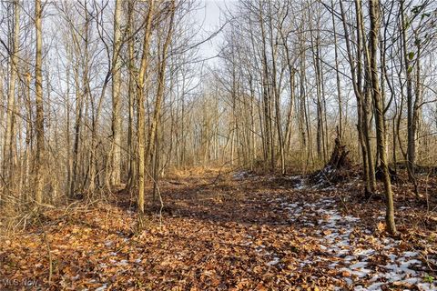 Tiny photo for County Road 9, New Matamoras, OH 45767 (MLS # 5180254)