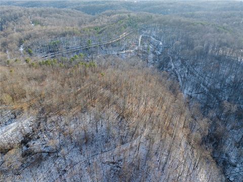 Tiny photo for County Road 9, New Matamoras, OH 45767 (MLS # 5180254)