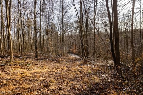 Tiny photo for County Road 9, New Matamoras, OH 45767 (MLS # 5180254)