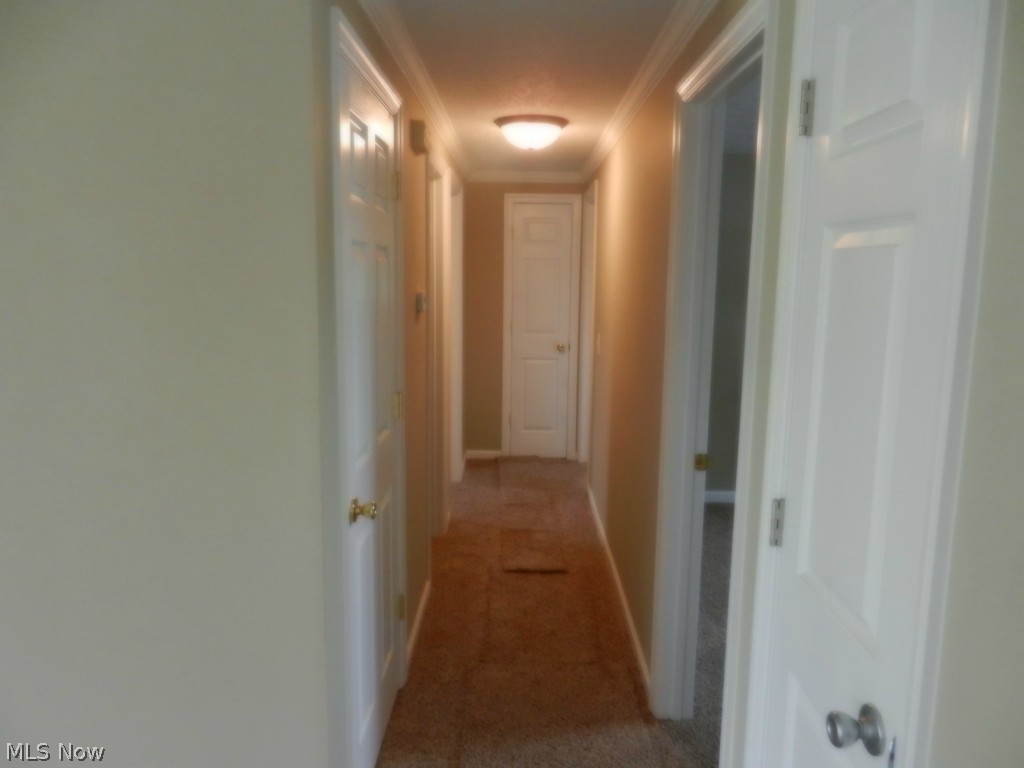 Toddway Village - Residential