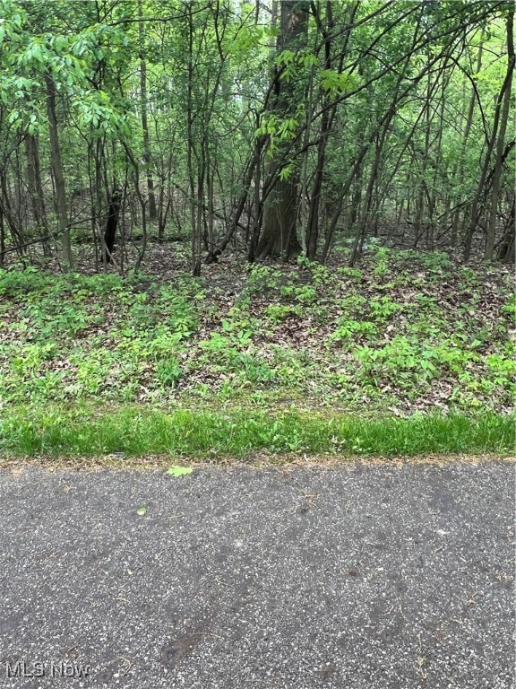 Youngstown, Ohio 44515, United States, 3 Bedrooms Bedrooms, ,2 BathroomsBathrooms,Residential,Active,82393