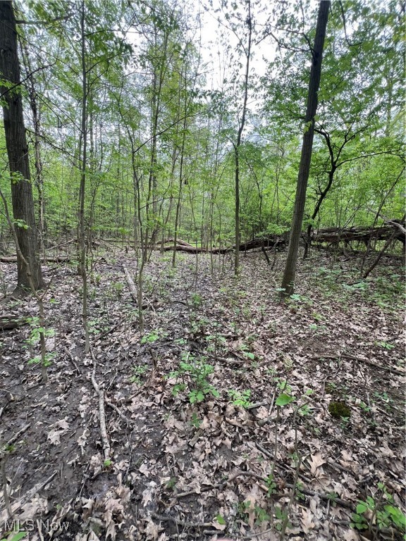 Youngstown, Ohio 44515, United States, 3 Bedrooms Bedrooms, ,2 BathroomsBathrooms,Residential,Active,82393