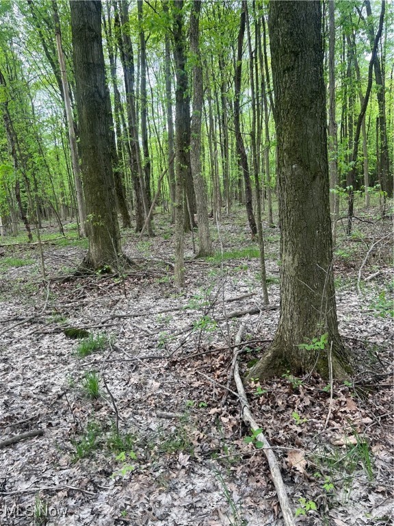 Youngstown, Ohio 44515, United States, 3 Bedrooms Bedrooms, ,2 BathroomsBathrooms,Residential,Active,82393