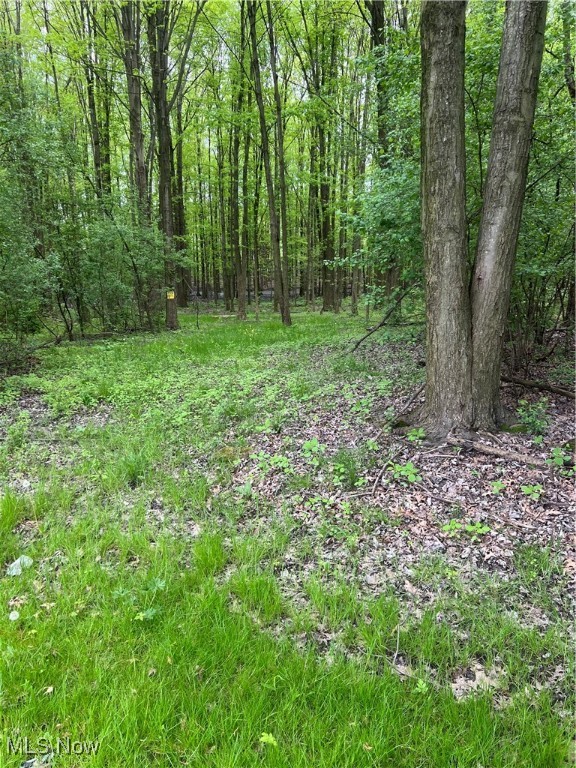 Youngstown, Ohio 44515, United States, 3 Bedrooms Bedrooms, ,2 BathroomsBathrooms,Residential,Active,82393