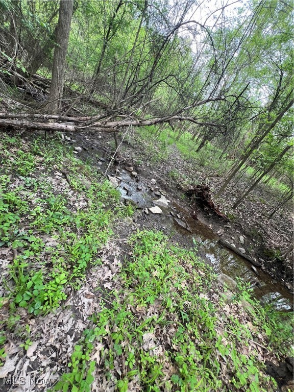 Youngstown, Ohio 44515, United States, 3 Bedrooms Bedrooms, ,2 BathroomsBathrooms,Residential,Active,82393