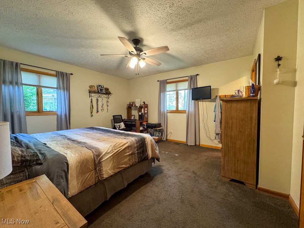 12096 Indian Hollow Road, Grafton, Ohio image 22