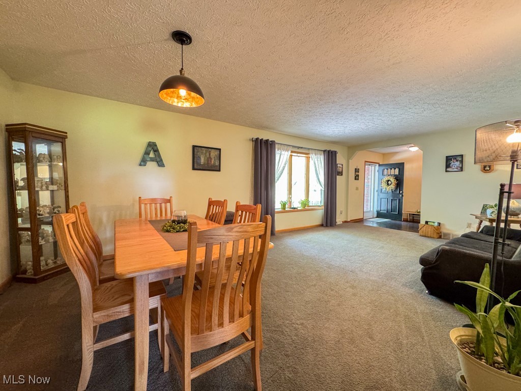 12096 Indian Hollow Road, Grafton, Ohio image 7