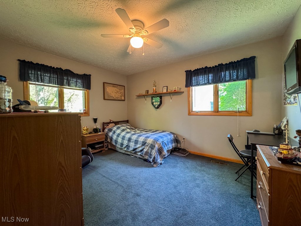 12096 Indian Hollow Road, Grafton, Ohio image 21