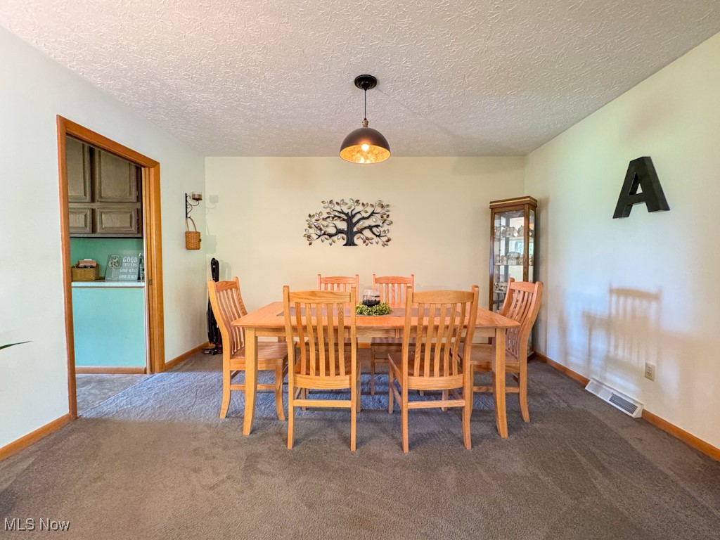 12096 Indian Hollow Road, Grafton, Ohio image 6