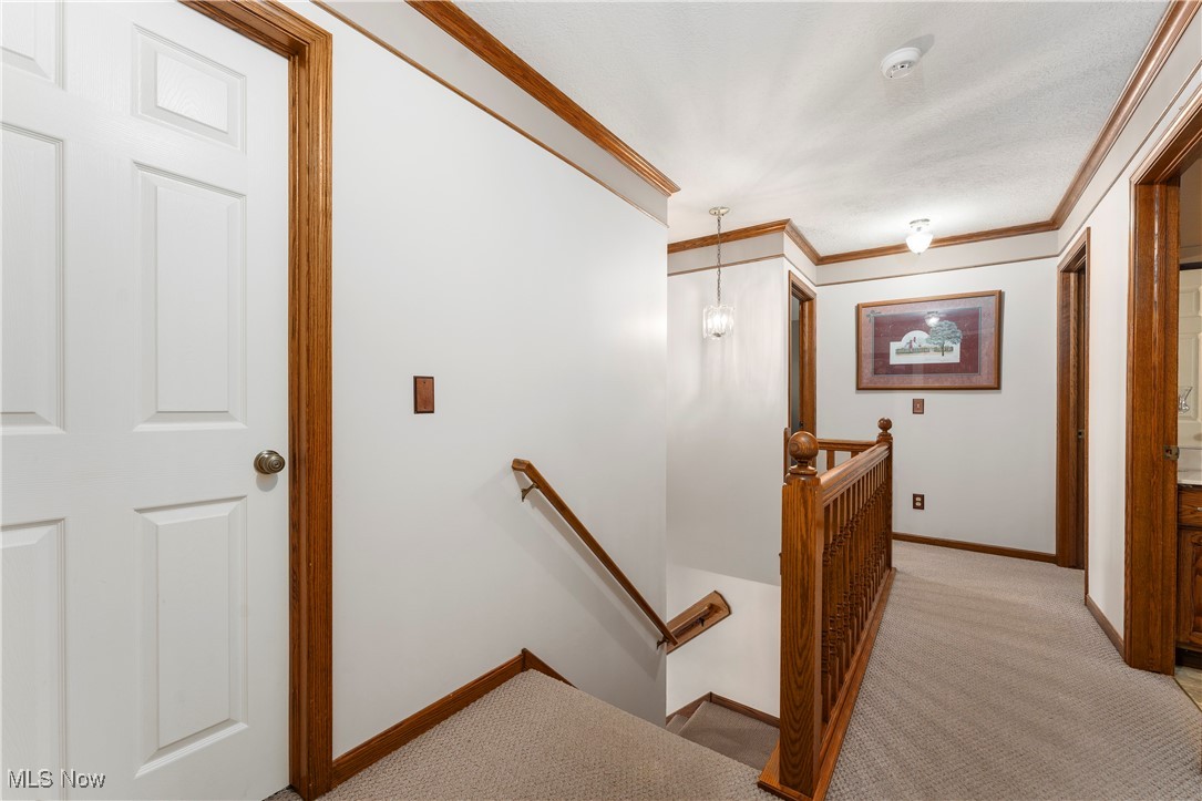 Hunters Hollow - Residential