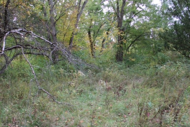 Want to live on a 2 acre wooded lot and have privacy in every direction? Look no further than this beautiful lot in Ashtabula OH. Boasting 2 full wooded acres, and plenty of space between neighbors on either side, this is the perfect land for someone who wants to get away and have some privacy! There is also a creek running through the property!!!
Also did you know Ashtabula has a 1.8% property tax rate?!!!
Also did you know that Ashtabula has a tax abatement program that can give you a 100% tax abatement for 7 years?!
Note: this land has two buildings on it, one was burned down in a fire, and there are remains of the building there still. The other still has structurally sound walls, so it could be salvaged, but needs a new roof and complete clean out if you wanted to keep it. Otherwise, you could just clear them off and start fresh.
Buyer to pay for all closing costs.