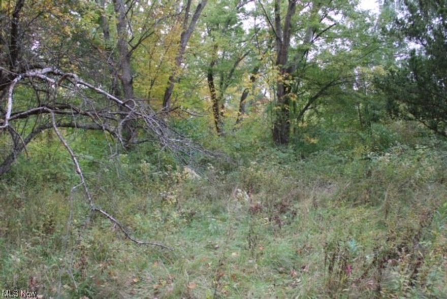 Want to live on a 2 acre wooded lot and have privacy in every direction?  Look no further than this beautiful lot in Ashtabula OH. Boasting 2 full wooded acres, and plenty of space between neighbors on either side, this is the perfect land for someone who wants to get away and have some privacy!  There is also a creek running through the property!!!
Also did you know Ashtabula has a 1.8% property tax rate?!!! 
Also did you know that Ashtabula has a tax abatement program that can give you a 100% tax abatement for 7 years?!

Note: this land has two buildings on it, one was burned down in a fire, and there are remains of the building there still. The other still has structurally sound walls, so it could be salvaged, but needs a new roof and complete clean out if you wanted to keep it. Otherwise, you could just clear them off and start fresh. 

Buyer to pay for all closing costs.