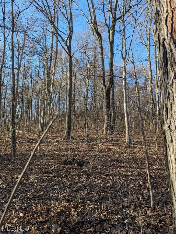 Potts Farm Sub - Land