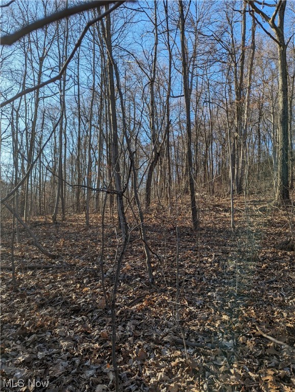 Potts Farm Sub - Land