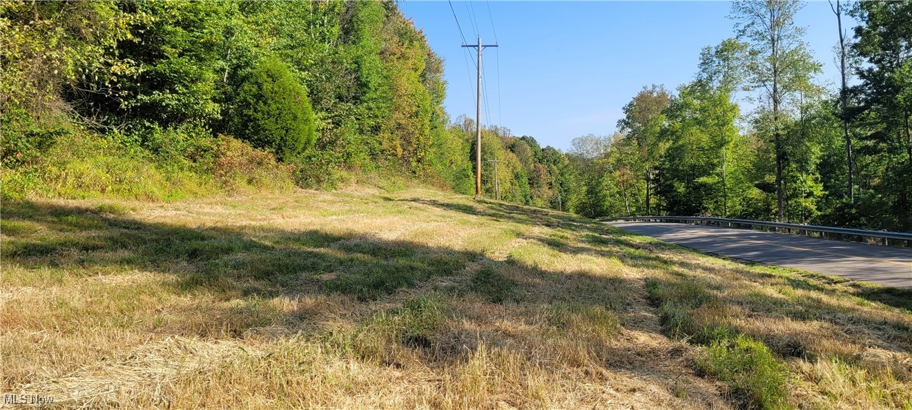 Gilmore Road, Gnadenhutten, Ohio image 3