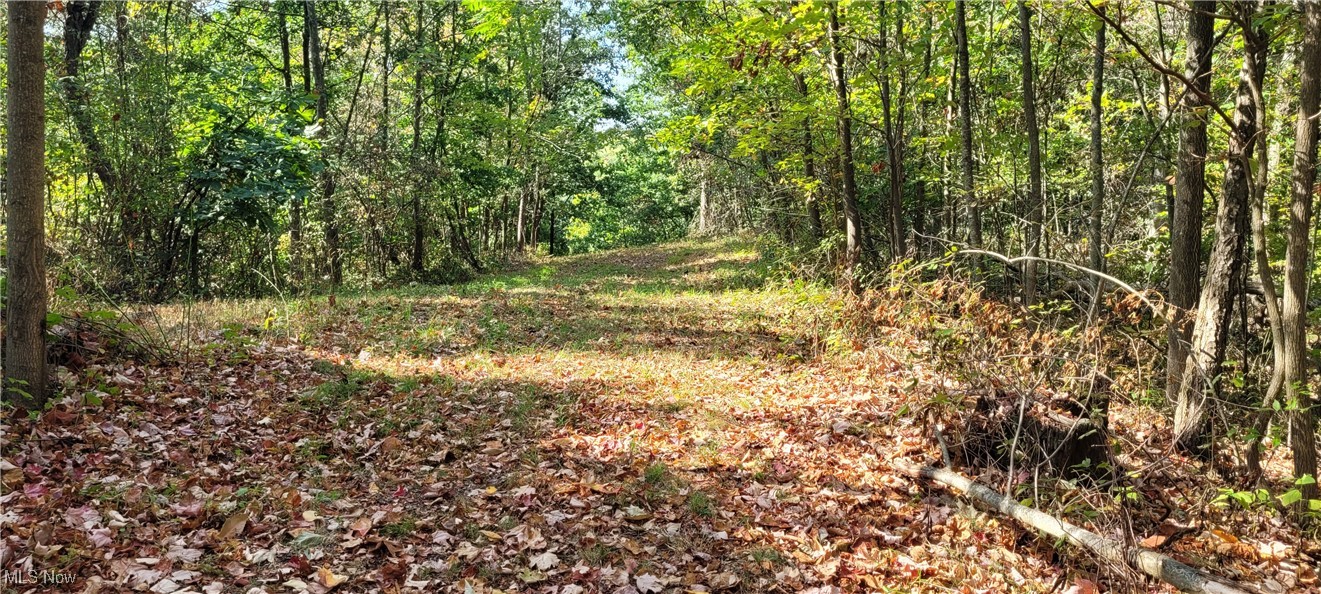 Gilmore Road, Gnadenhutten, Ohio image 43