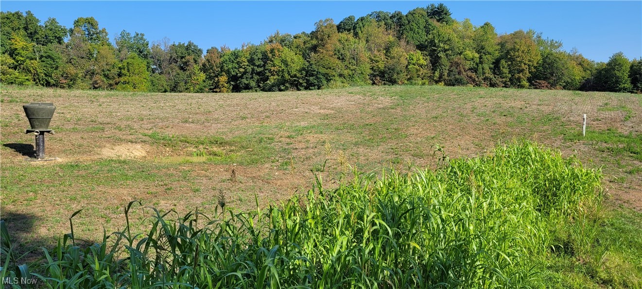 Gilmore Road, Gnadenhutten, Ohio image 20